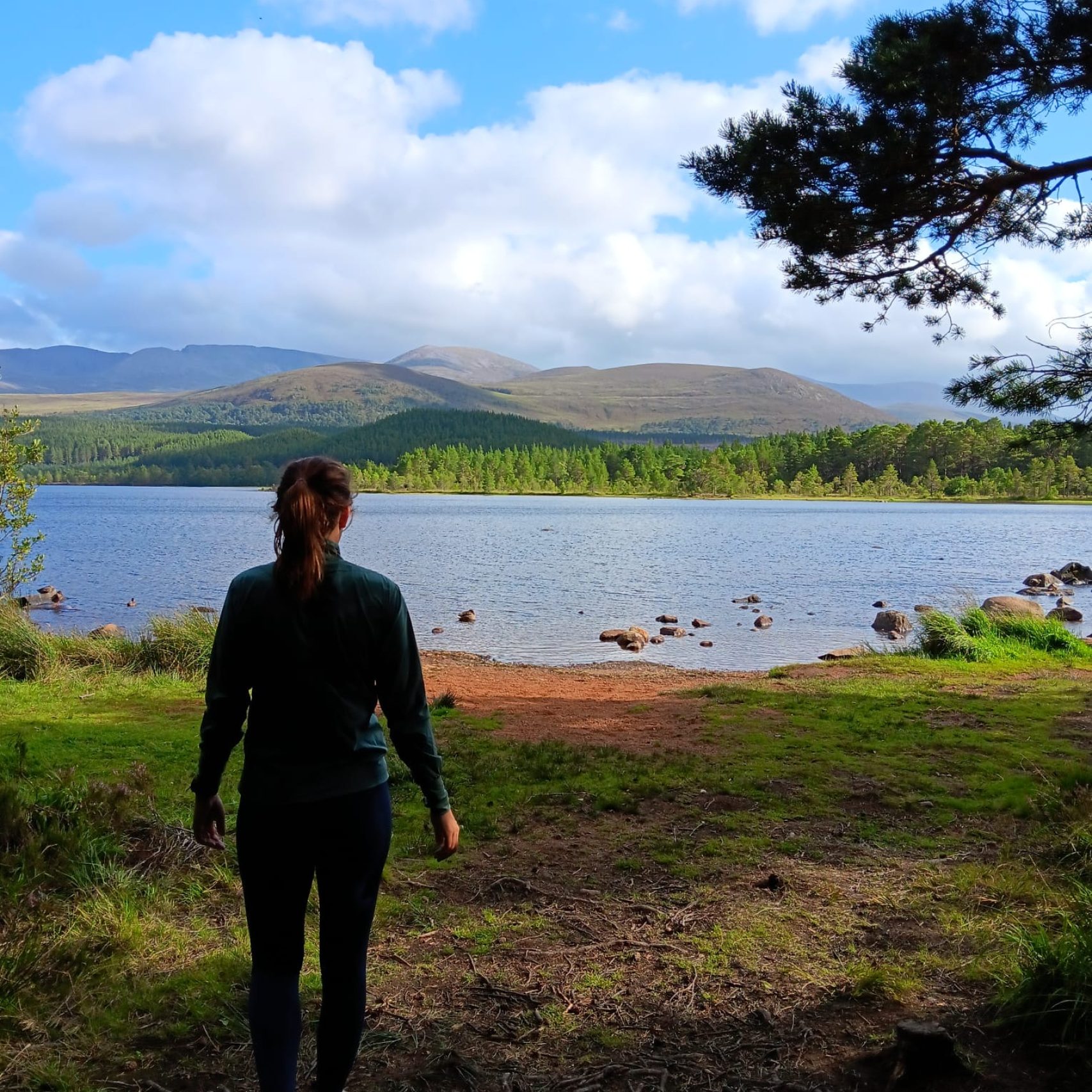 867663aa-393f-4308-8db3-2fd7e6bf9709